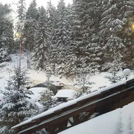 Apartment Sivi Vuk